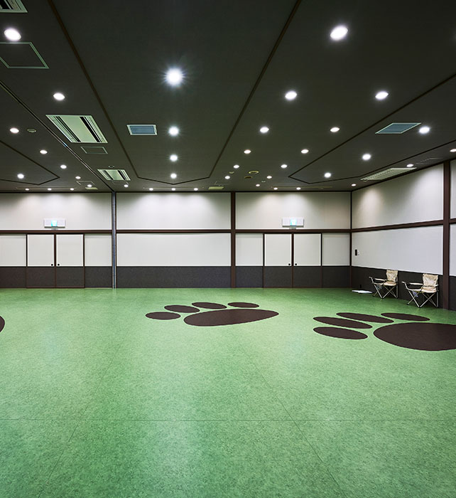 屋内ドッグラン