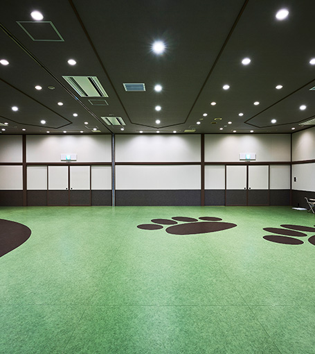 中型犬用ドッグラン