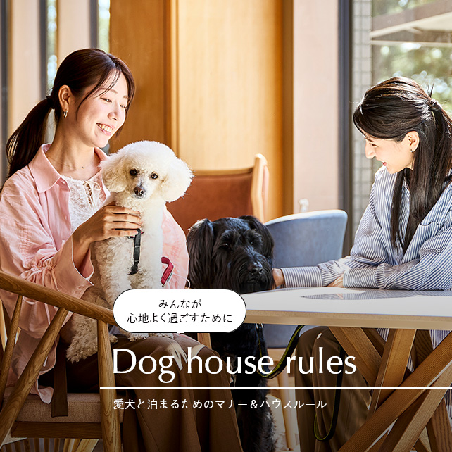 愛犬と泊まる為のマナー&ハウスルール