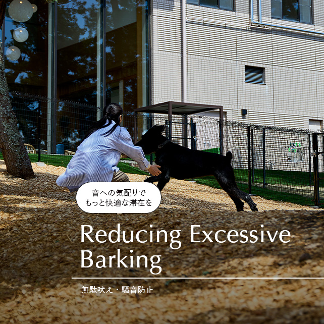 無駄吠え・騒音防止