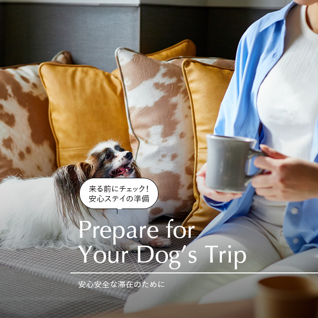 愛犬と旅準備チェック