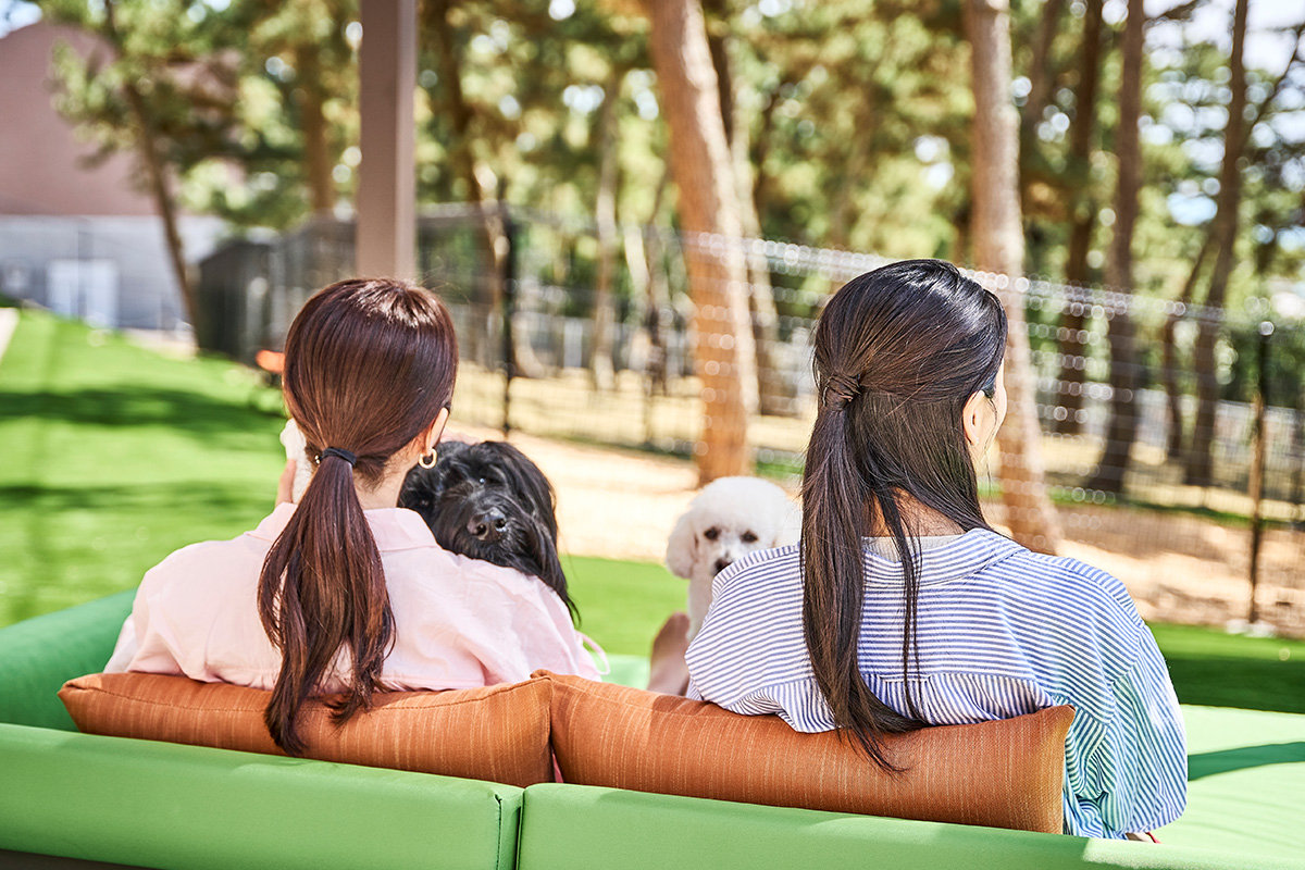 ドッグラン内のルール画像