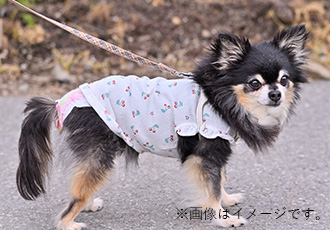 マナーウェアの画像