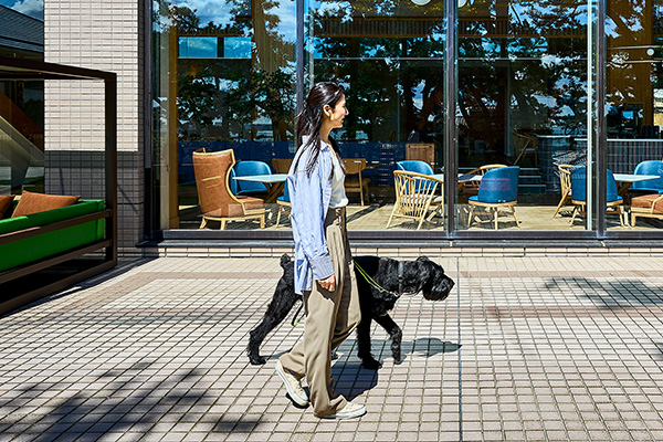 環境づくりを意識の画像